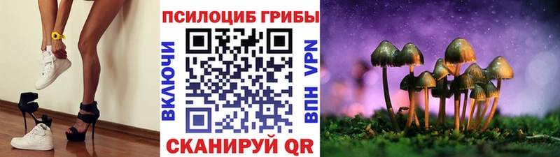 Псилоцибиновые грибы Cubensis  kraken онион  Гусиноозёрск 